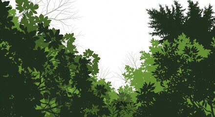 Fototapeta premium Green tree foliage silhouette frame against a white sky background