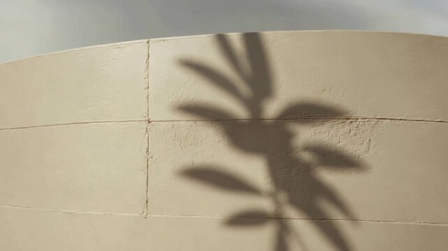 Soft Plant Shadow on Beige Interior Wall in Warm Sunlight