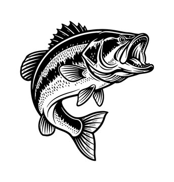 Dynamic illustration of a powerful largemouth bass fish jumping with its mouth wide open in a bold black and white graphic style
