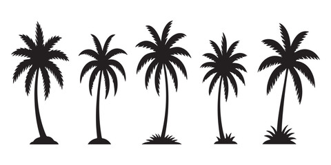 Fototapeta premium Various palm tree shapes in black color vector set for summer vacation and tropical destination branding projects.