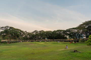 Obraz premium Beautiful lush green grass field and vibrant trees in a public park during sunset.
