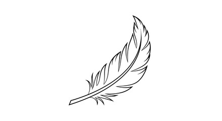 Minimalist Feather Outline Icon, Simple Line Drawing, Isolated On White Background © yuhdi