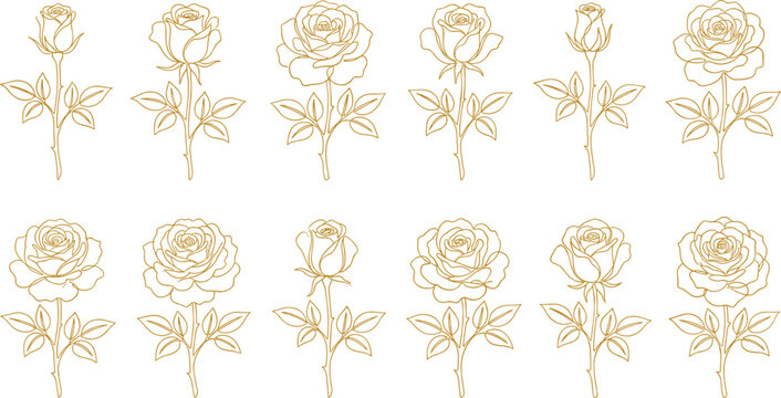 Stylized rose pattern illustration with golden outline flowers, detailed petals, stems, leaves, floral motif, and vector design