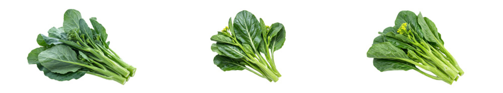 set of the (  Choy Sum, a leafy green) isolated on withe background PNG photo high quality''