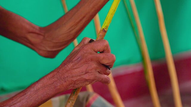 Production of cinnamon sticks. Traditional manually cleaning fresh cinnamon branches during the production of real Ceylon cinnamon in Sri Lanka. Close-up of cinnamon production in slow motion