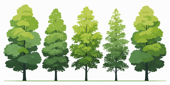 Five cartoonish trees with green leaves and brown trunks on white background