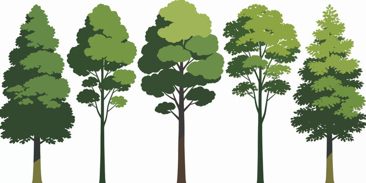 Illustration of five different tree silhouettes with varying foliage patterns