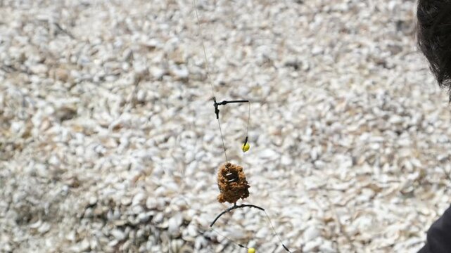 Close-up of a fishing feeder rig with bait and hook hanging above a rocky shore, showing fishing tackle preparation before casting into the water.