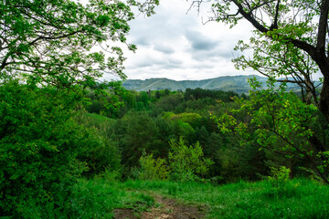 Fototapeta premium Lush green forest and distant hills framed by tree branches. Mountainous summer landscape from elevated view point under cloudy sky.