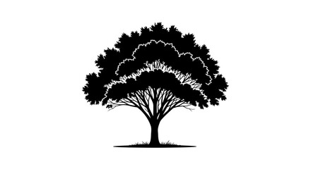 Silhouette of a large oak tree with detailed branches and leaves. © Rani
