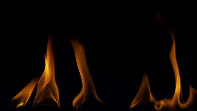 Closeup of orange flames dancing against a black background.