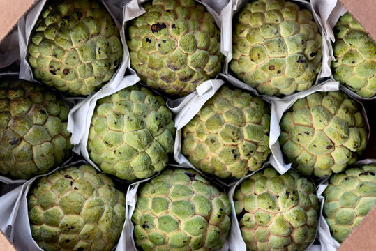 Sugar apple, pinha, sweetsops or custard apples