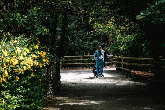 Maman promenant son enfant en poussette dans un  parc