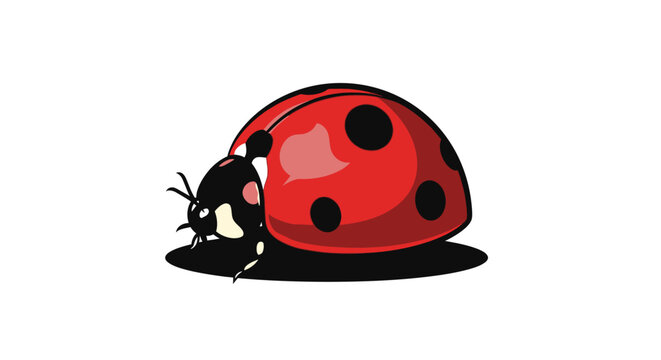 Cute ladybug with black spots crawling.