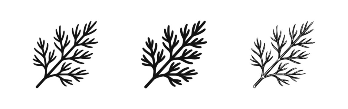 Fresh dill sprig icon set in three styles including silhouette, line art, and artistic sketch for culinary use.