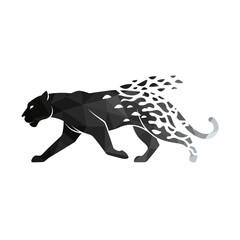 Black panther with leopard print tail. © ahmad