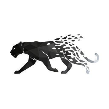 Black panther with leopard print tail.