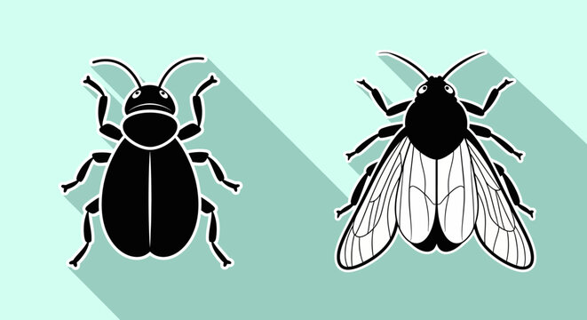 Black beetle and fly insect illustration.