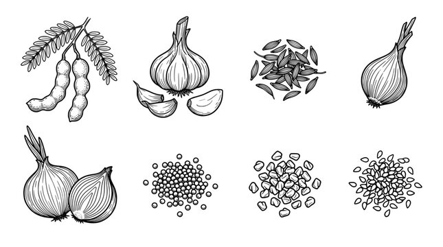 Set of various spices and vegetables
