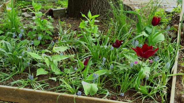 Street-side planter supporting urban biodiversity and pollinator-friendly vegetation in Berlin.