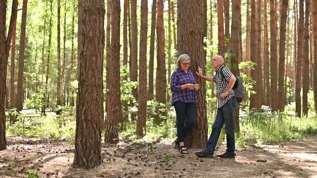 Senior couple talking beside pine tree during peaceful woodland walk and HD recreation video Full