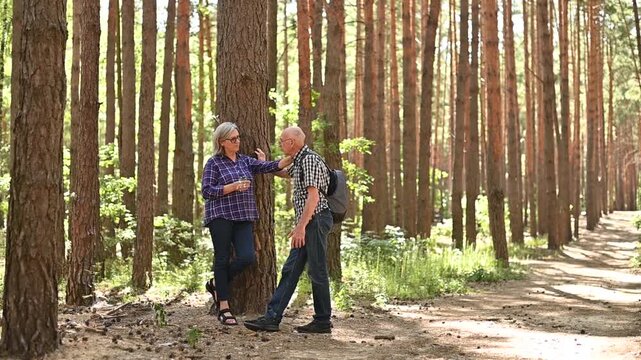 Senior couple talking beside pine tree during peaceful woodland walk and Full HD recreation video