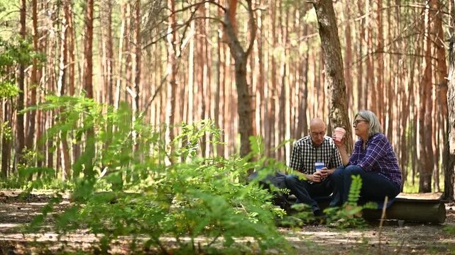Senior hikers talking and resting among pine trees in forest video Full HD clearing