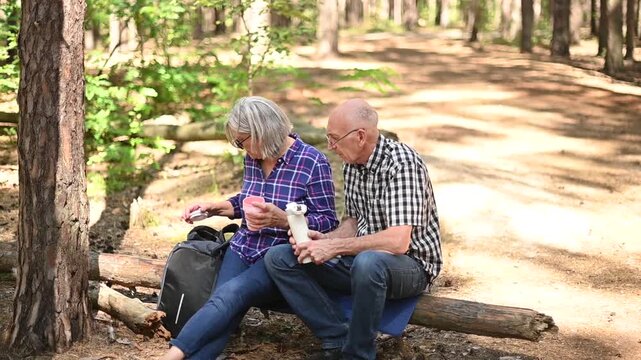 Elderly couple drinking beverage and relaxing in peaceful pine forest video Full HD