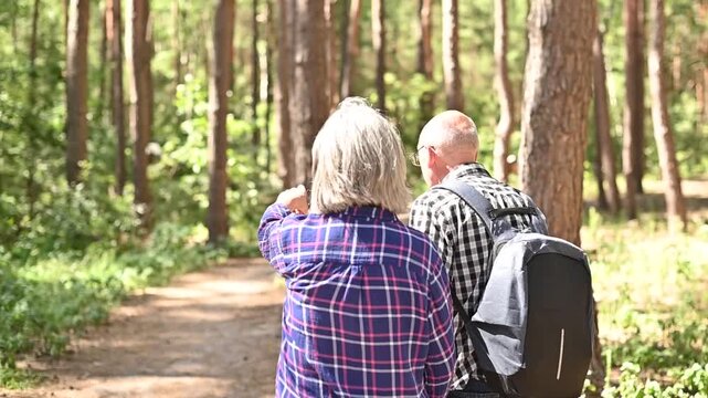 Senior couple hiking along forest trail and exploring pine woodland video Full HD together