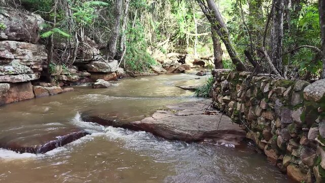 V&iacute;deo de queda d'&aacute;gua natural correndo sobre pedras escuras cercada por vegeta&ccedil;&atilde;o densa de floresta tropical no Parque Nacional da Chapada Diamantina, Bahia, Brasil.