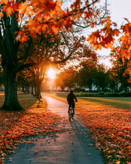 Obraz premium Cyclist on Autumn Park Path With Orange Leaves and Golden Sunset