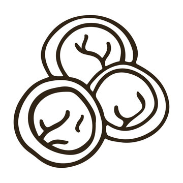Group of three shumai or pelmeni dumplings vector illustration doodle