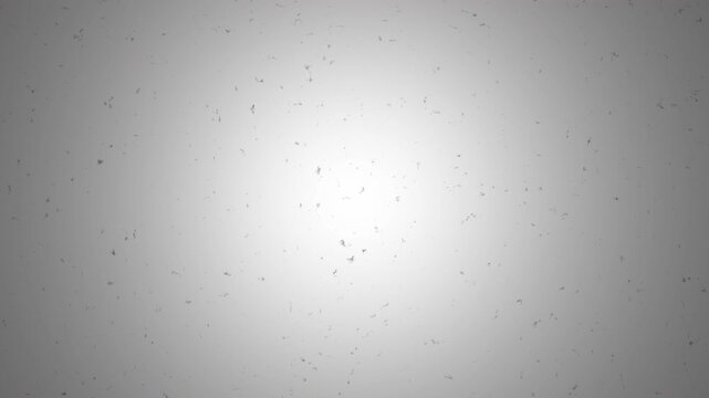 Super8 film leader in monochromatic grey with a subtle grainy texture, perfect for vintage film projects or intros.