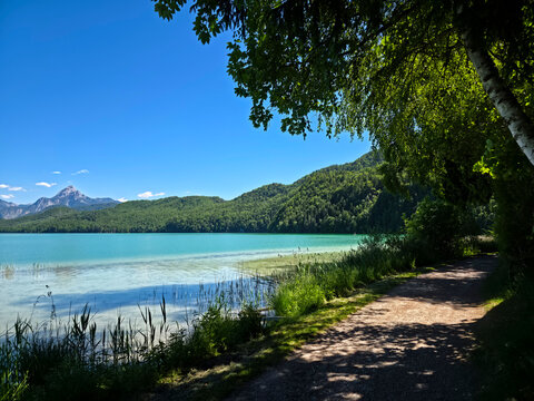 germany, scenic hiking trail around weissensee with sparkling waters and forested alpine mountain backdrop