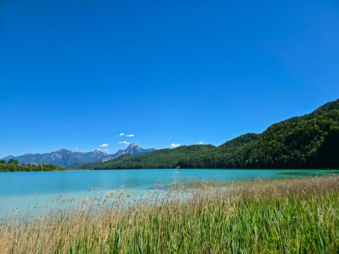 germany, inviting weissensee beach beside reeds and alpine mountains offering perfect summer swimming paradise