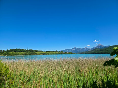 germany, tranquil reed lined beach at weissensee with sparkling alpine waters and breathtaking mountain views