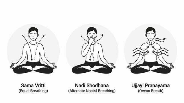 Pranayama Breathing Techniques: An infographic illustrating three distinct yogic breathing exercises: Sama Vritti (Equal Breathing), Nadi Shodhana (Alternate Nostril Breathing).