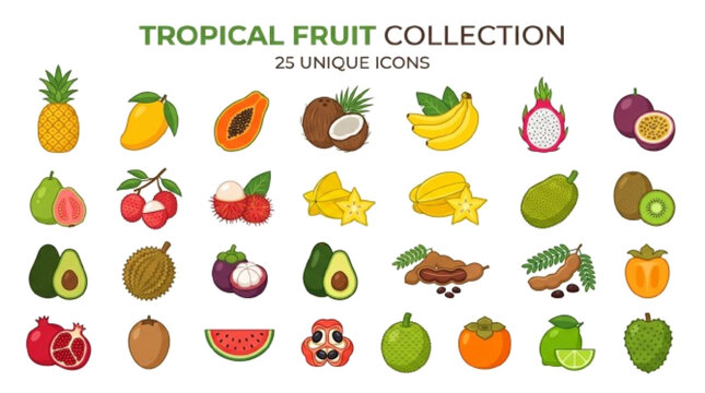 Create a premium vector set containing 25 unique tropical fruits, pineapple, mango, papaya, coconut, banana, dragon fruit, passion fruit, guava, lychee, rambutan, starfruit, jackfruit, colorful flat v