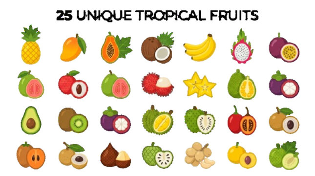 Create a premium vector set containing 25 unique tropical fruits, pineapple, mango, papaya, coconut, banana, dragon fruit, passion fruit, guava, lychee, rambutan, starfruit, jackfruit, colorful flat v