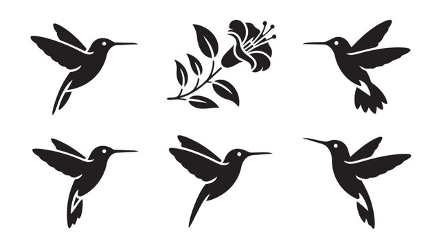 Set of hummingbird silhouettes with floral element for nature design hummingbird silhouette