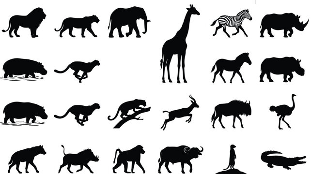 African Wildlife Animal Silhouette Collection Vector Set Featuring Safari Mammals Birds Reptiles and Wild Nature  Wildlife Animal Silhouette 