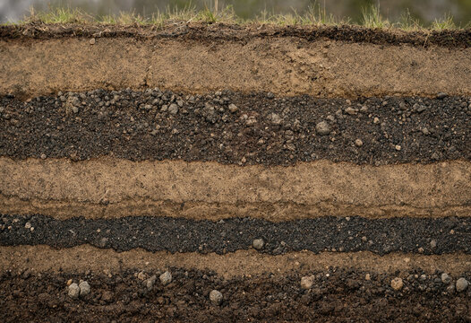 Cross section of soil layers showing different textures of earth, gravel, and organic matter in a geological profile of the ground