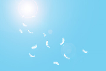 Soft white feathers floating on blue sky. fluffy downy. symbol of freedom and peace. white clouds and blue sky background. top blue sky heavenly   © Siwakorn1933