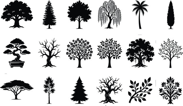 Black tree silhouettes collection featuring diverse botanical shapes, stylized leaves, branches, bonsai, and decorative vector icons for graphic designBlack 