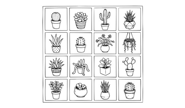 Cactus And Succulent Illustration Grid Featuring Potted Houseplants Aloe Vera Echeveria Lithops Haworthia Prickly Pear Desert Flora Vector Line Templates