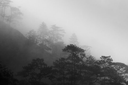 Benguet Misty Mountain Silhouettes 5