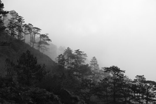 Benguet Misty Mountain Silhouettes 3