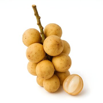 Sweet duku fruit bunch or lansium parasiticum isolated on white background langsat or longkong tropical southeast asian fruit with a peeled slice showing juicy flesh