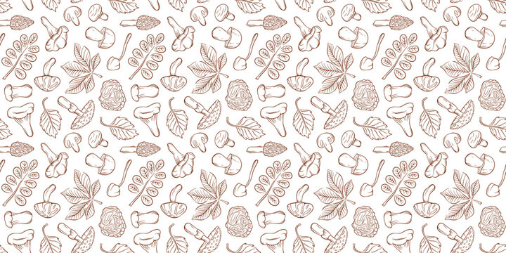 Hand drawn seamless pattern with line art style forest mushroom and leaf. Autumn harvest and nature concept illustration for fabric, paper.