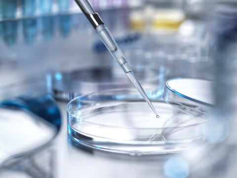 Pipette dropping sample into a Petri dish in a laboratory